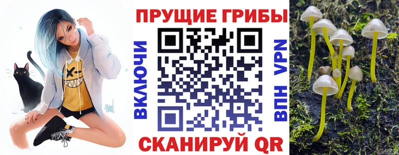 Галлюциногенные грибы GOLDEN TEACHER  blacksprut рабочий сайт  сайты даркнета телеграм  Спас-Клепики 